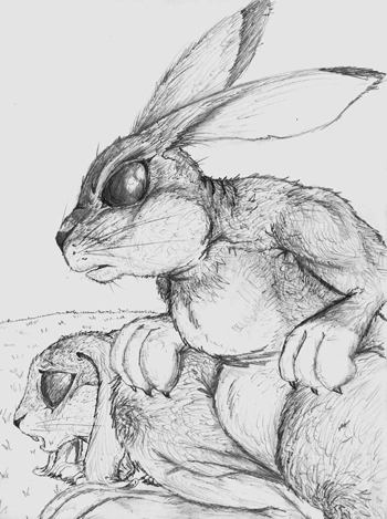 Watership Down: Hazel and Fiver